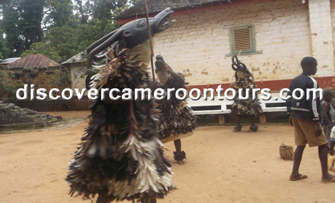 Bafut 5