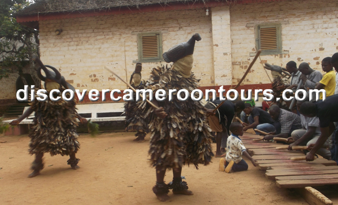 Bafut 6