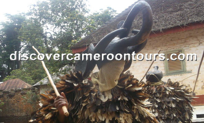 Bafut 7