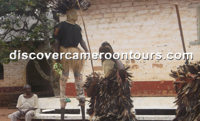 Bafut 8