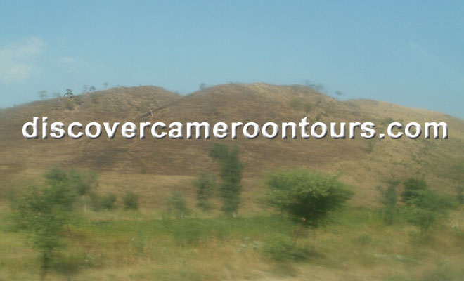 Cameroon Trip 10