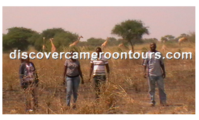 Cameroon Trip 19