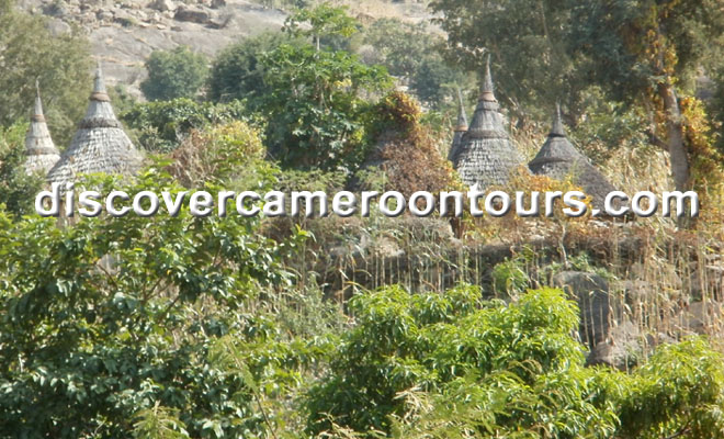 Cameroon Trip 5