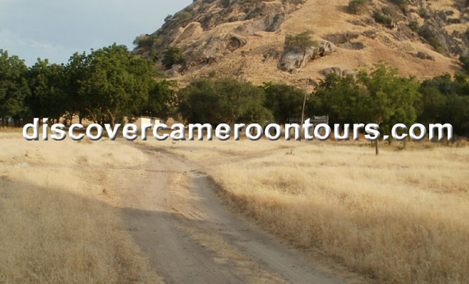 Cameroon Trip 8