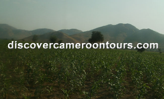 Cameroon Trip 9