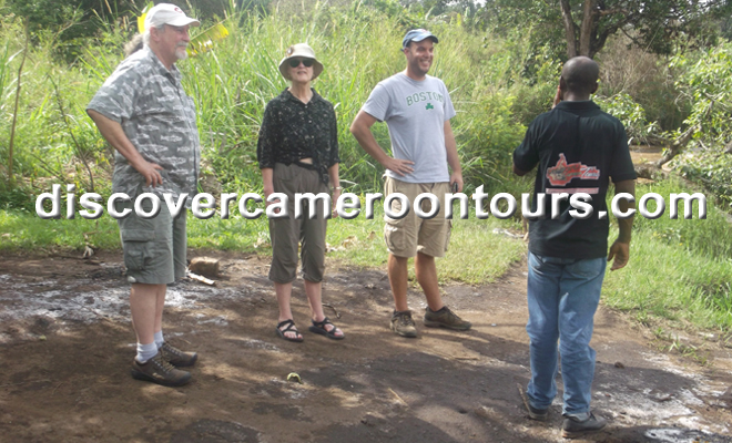 Guided group exploring the grassland