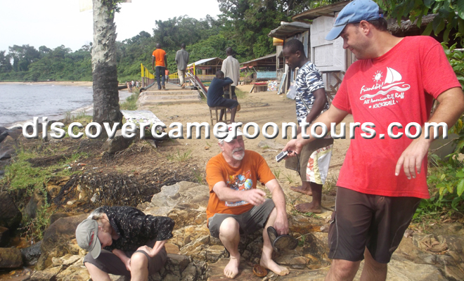 Kribi beach with palm trees