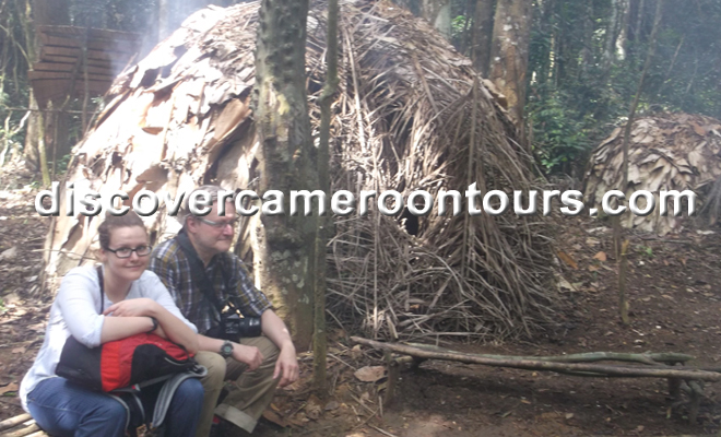 The Equatorial Forest (Pygmies-Gorillas) Tour
