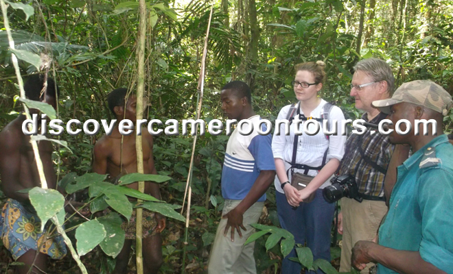 Pygmies Guide
